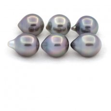 Lot of 6 Tahitian Pearls Semi-Baroque C from 9.5 to 9.8 mm