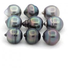 Lot of 9 Tahitian Pearls Ringed C from 11 to 11.4 mm