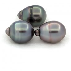 Lot of 3 Tahitian Pearls Ringed C from 11.6 to 11.9 mm