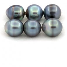 Lot of 6 Tahitian Pearls Ringed C from 12.5  13.1 mm