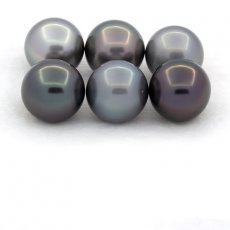 Lot of 6 Tahitian Pearls Round and Near-Round C from 9.6 to 9.9 mm