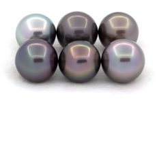 Lot of 6 Tahitian Pearls Round and Near-Round C from 9.5 to 9.9 mm
