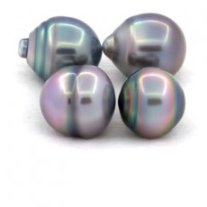 Lot of 4 Tahitian Pearls Ringed C from 11.5 to 11.9 mm
