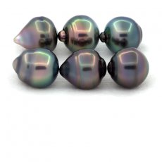 Lot of 6 Tahitian Pearls Ringed B/C from 10.5 to 10.9 mm