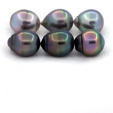 Lot of 6 Tahitian Pearls Ringed B/C from 10.5 to 10.8 mm