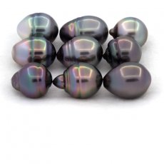 Lot of 9 Tahitian Pearls Ringed C from 10.5 to 10.9 mmm