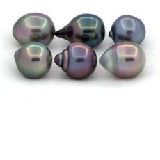 Lot of 6 Tahitian Pearls Ringed B/C from 10 to 10.4 mm