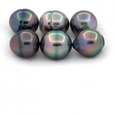 Lot of 6 Tahitian Pearls Ringed B from 11 to 11.2 mm