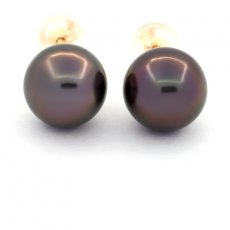 18K solid Gold Earrings and 2 Tahitian Pearls Round C 9.4 mm