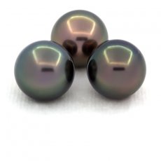 Lot of 3 Tahitian Pearls Round C from 11 to 11.2 mm