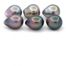 Lot of 6 Tahitian Pearls Semi-Baroque C from 9 to 9.4 mm