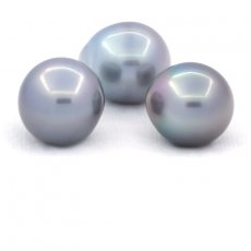 Lot of 3 Tahitian Pearls Semi-Baroque C from 13.6 to 13.8 mm
