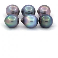 Lot of 6 Tahitian Pearls Semi-Baroque C from 10 to 10.4 mm