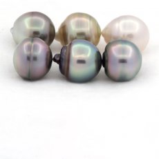 Lot of 6 Tahitian Pearls Ringed C from 11 to 11.4 mm