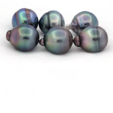 Lot of 6 Tahitian Pearls Ringed B/C from 12 to 12.4 mm