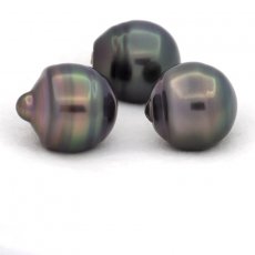 Lot of 3 Tahitian Pearls Ringed C from 12 to 12.4 mm