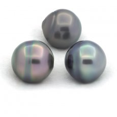 Lot of 3 Tahitian Pearls Ringed C from 12.4 mm