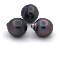 Lot of 3 Tahitian Pearls Semi-Baroque B from 10.7 to 10.8 mm