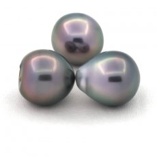 Lot of 3 Tahitian Pearls Semi-Baroque B from 11 to 11.1 mm
