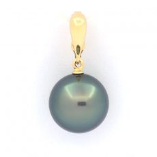 18K solid Gold Clip Pendant and 1 Tahitian Pearl Round B 13.5 mm