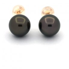 18K solid Gold Earrings and 2 Tahitian Pearls 1 Round & 1 Near-Round B/C 8.8 mm