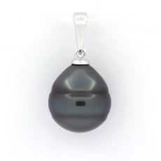 Rhodiated Sterling Silver Pendant and 1 Tahitian Pearl Ringed C 11.3 mm