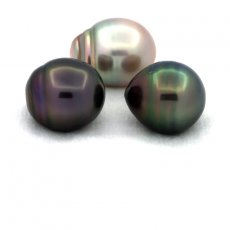 Lot of 3 Tahitian Pearls Ringed C from 12.6 to 12.8 mm