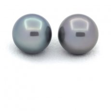 Lot of 2 Tahitian Pearls Round C 11.7 and 11.9 mm