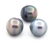Lot of 3 Tahitian Pearls Ringed C from 11.5 to 11.7 mm