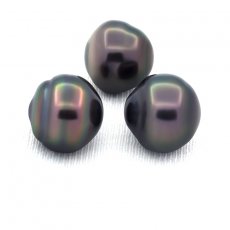 Lot of 3 Tahitian Pearls Ringed D from 12.9 to 13.2 mm