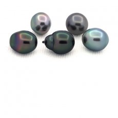 Lot of 5 Tahitian Pearls Semi-Baroque C from 9.6 to 9.9 mm