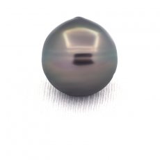 Tahitian Pearl Ringed C 14.1 mm