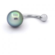 Rhodiated Sterling Silver Piercing and 1 Tahitian Pearl Ringed B 9.2 mm