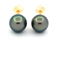 18K solid Gold Earrings and 2 Tahitian Pearls Round B/C 8.1 mm