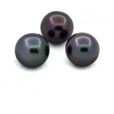 Lot of 3 Tahitian Pearls Round C from 18 to 8.1 mm