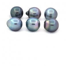 Lot of 6 Tahitian Pearls Semi-Baroque C from 12.6 to 12.8 mm