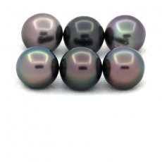 Lot of 6 Tahitian Pearls Round and Near-Round C from 8.3 to 8.4 mm