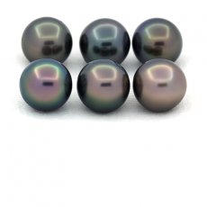 Lot of 6 Tahitian Pearls Round and Near-Round C from 8 to 8.2 mm