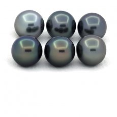Lot of 6 Tahitian Pearls Round and Near-Round C from 8.2 to 8.3 mm