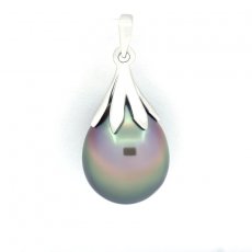 Rhodiated Sterling Silver Pendant and 1 Tahitian Pearl Semi-Baroque C 10.6 mm