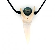 Cotton necklace, Mako shark tooth and 1 Tahitian Pearl Near-Round C 7.8 mm