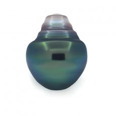 Tahitian Pearl Ringed B/C 12.2 mm