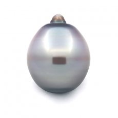 Tahitian Pearl Ringed B 13.4 mm