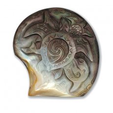 Engraved Large Tahitian Mother of Pearl