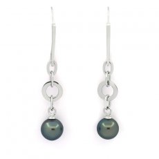 Rhodiated Sterling Silver Earrings and 2 Tahitian Pearls Round C 11.7 mm