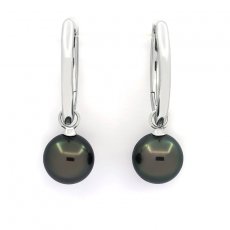 Rhodiated Sterling Silver Earrings and 2 Tahitian Pearls Round C 11.8 mm