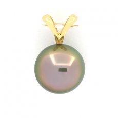 18K solid Gold Pendant and 1 Tahitian Pearl Round B 9.9 mm