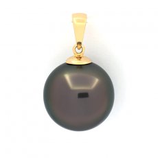 18K solid Gold Pendant and 1 Tahitian Pearl Round B 12.6 mm