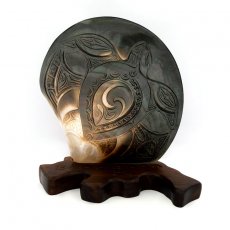 Tahitian Mother of Pearl Engraved on a Wooden Base (To'u)