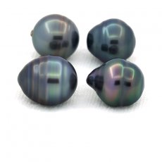 Lot of 4 Tahitian Pearls Ringed C from 9 to 9.5 mm